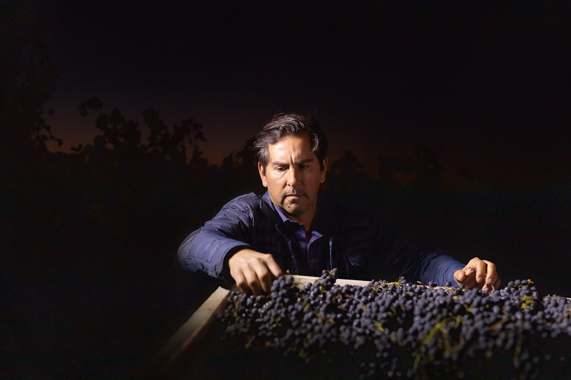 Andy Erickson - Winemaker Napa Valley