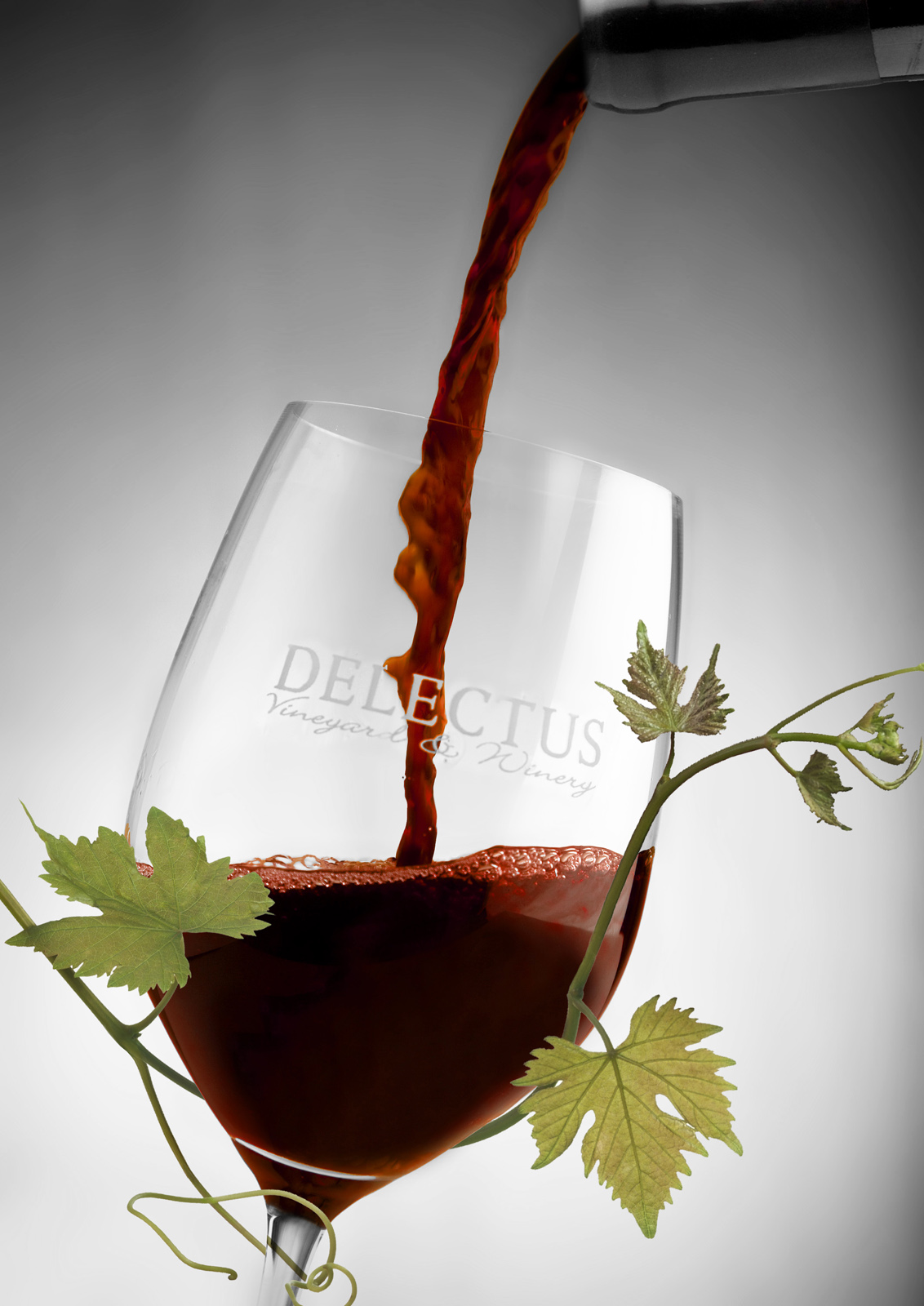 Delectus Winery Beauty Shot