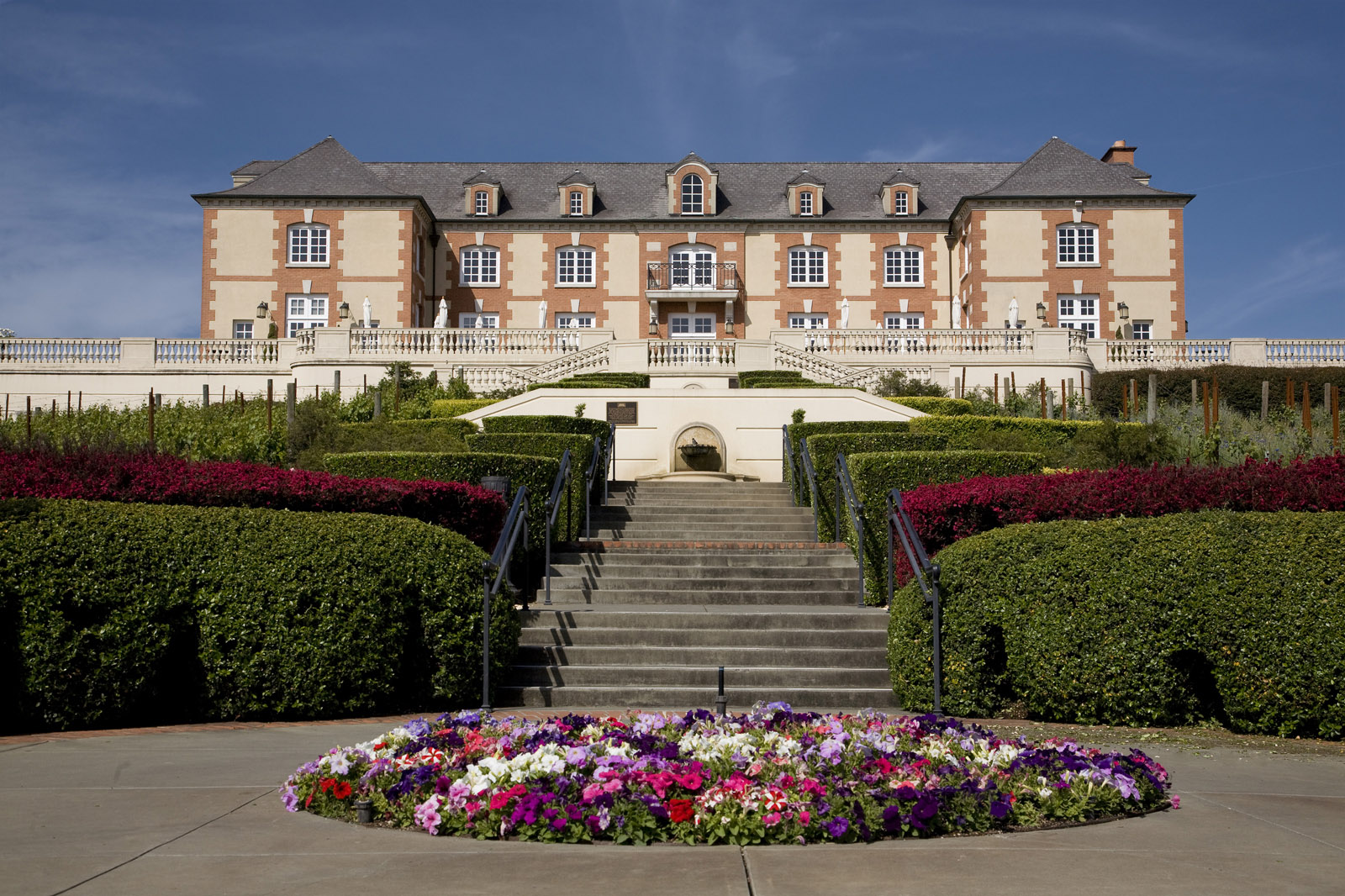 Domaine Carneros Winey, Napa Valley