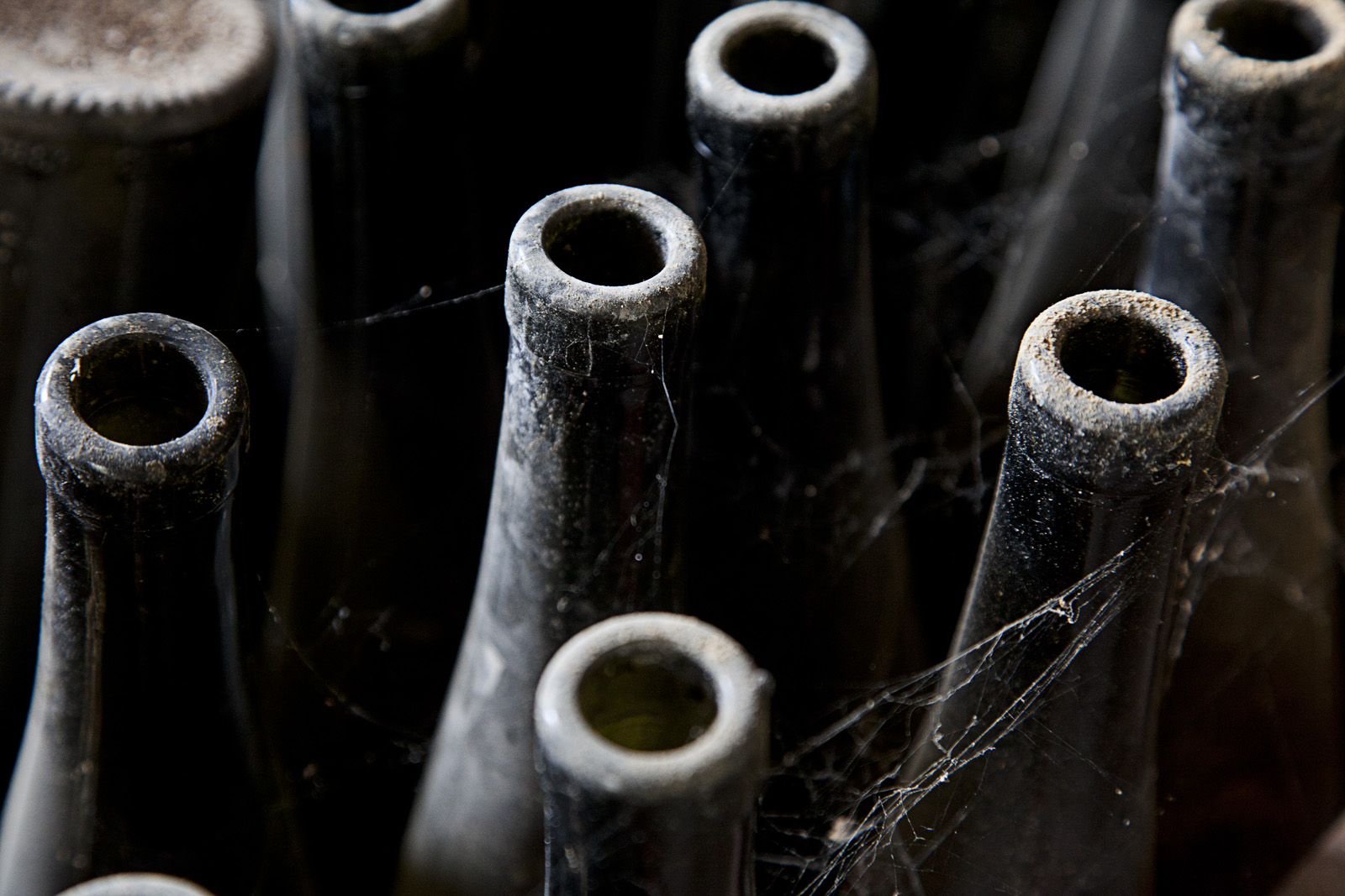 Old Bottles: Rocco Studio Photography