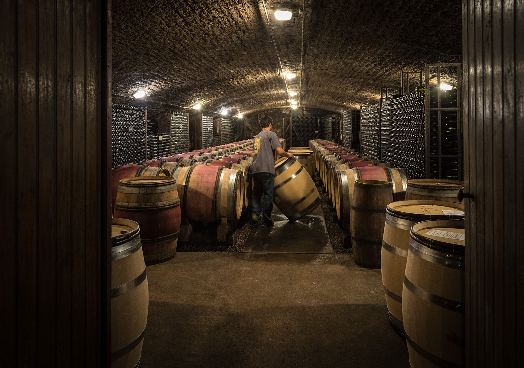 Bourgogne Wine Cellar