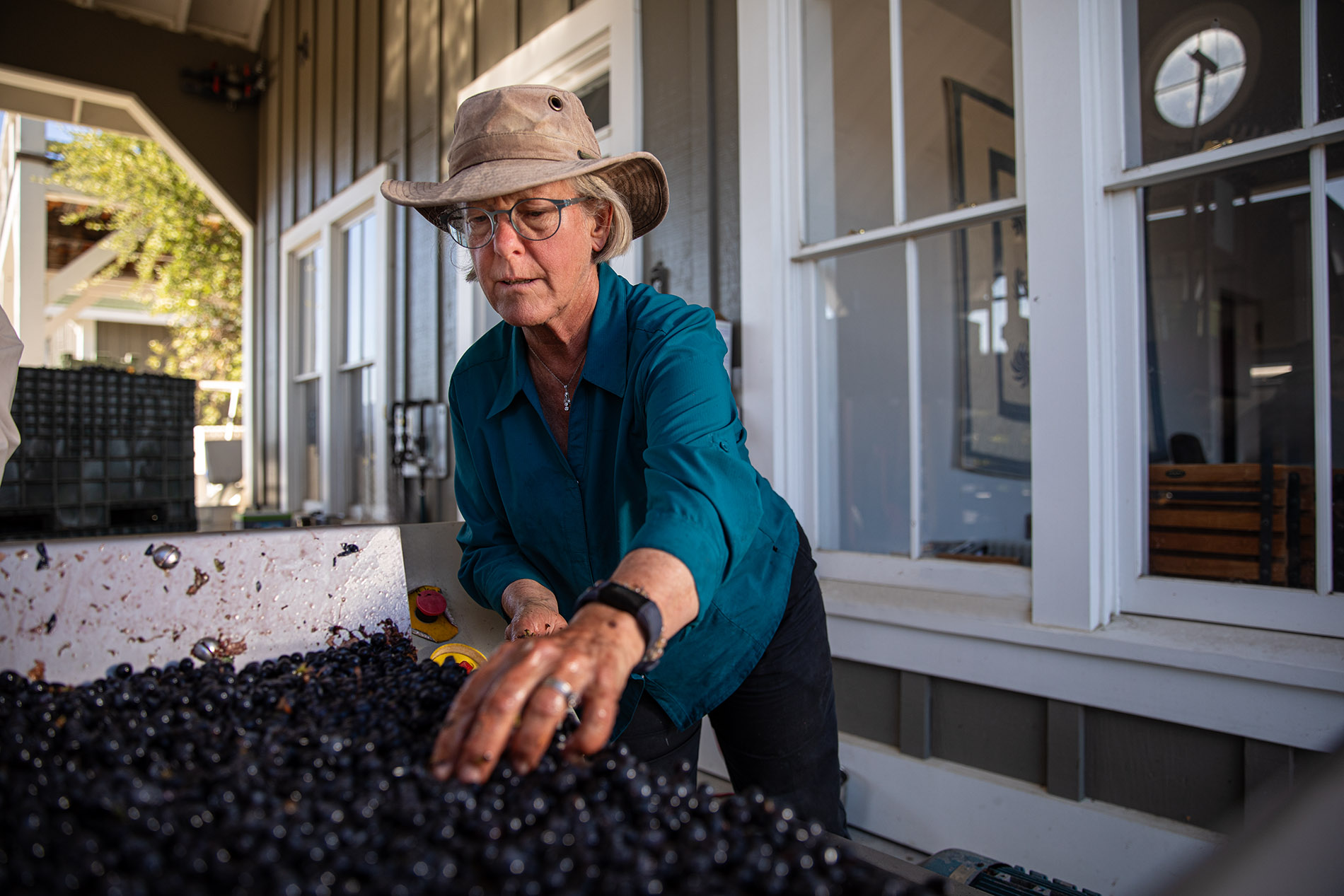 Winery Photographer Napa Valley - Cathy Corison Winemaker