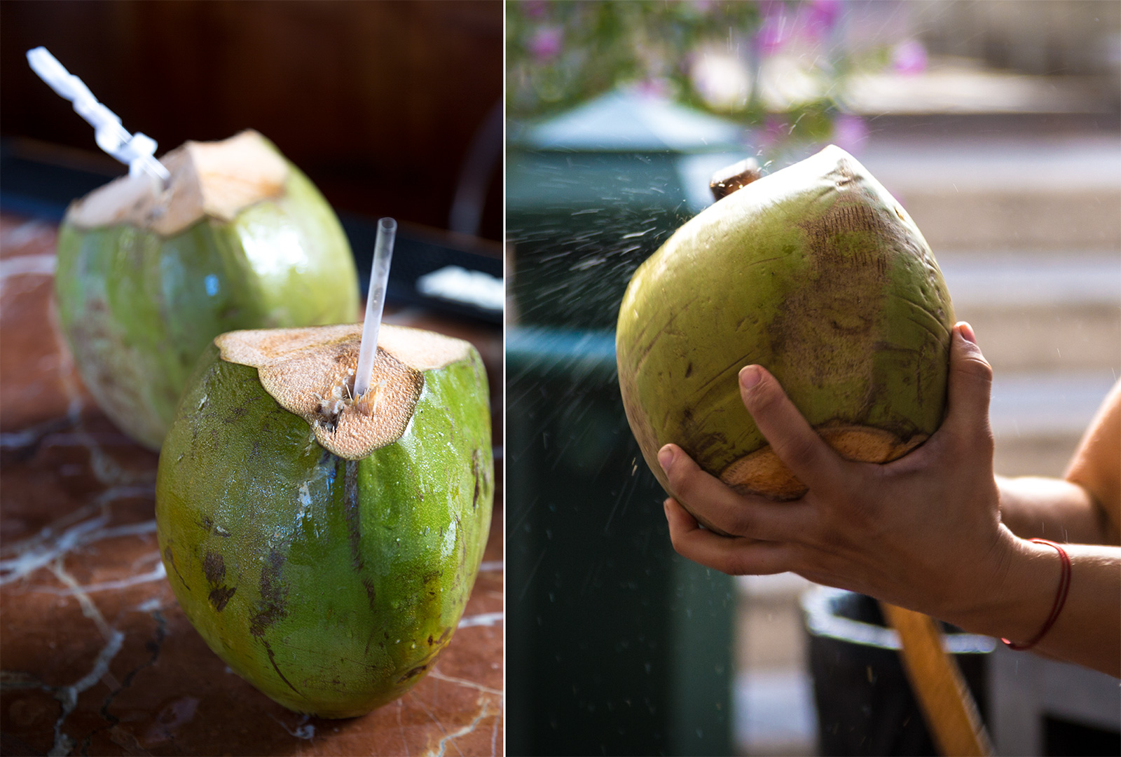 Coconut at Old San Juan Puerto Rico